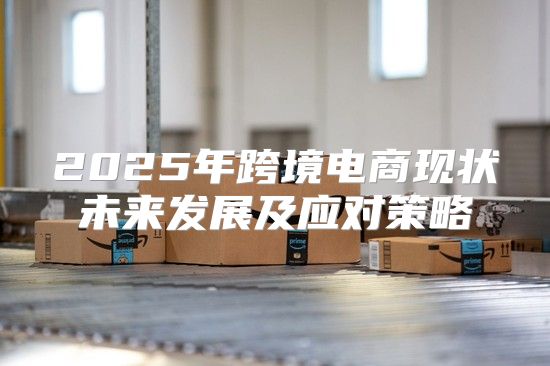 2025年跨境电商现状未来发展及应对策略