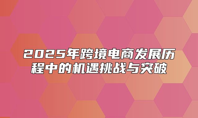 2025年跨境电商发展历程中的机遇挑战与突破