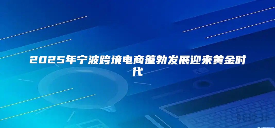 2025年宁波跨境电商蓬勃发展迎来黄金时代