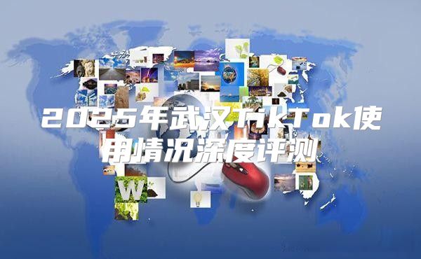 2025年武汉TikTok使用情况深度评测