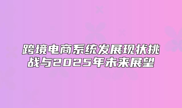 跨境电商系统发展现状挑战与2025年未来展望