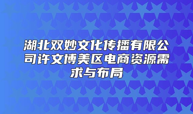 湖北双妙文化传播有限公司许文博美区电商资源需求与布局