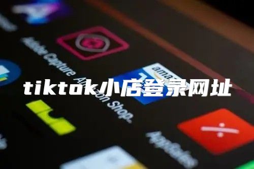 tiktok小店登录网址