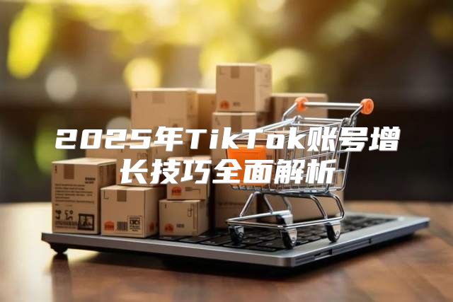 2025年TikTok账号增长技巧全面解析