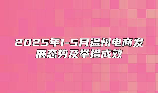 2025年1-5月温州电商发展态势及举措成效