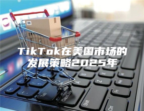 TikTok在美国市场的发展策略2025年