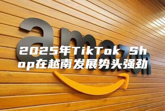 2025年TikTok Shop在越南发展势头强劲