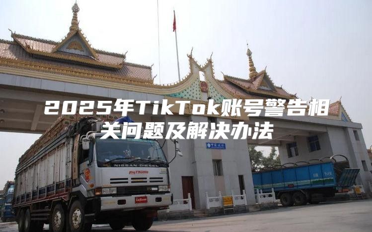 2025年TikTok账号警告相关问题及解决办法