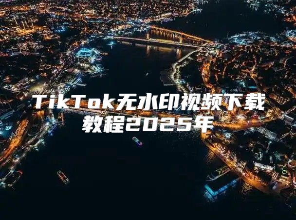 TikTok无水印视频下载教程2025年