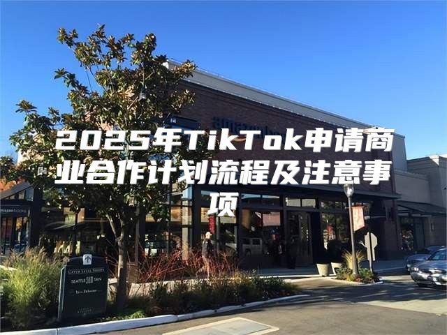 2025年TikTok申请商业合作计划流程及注意事项