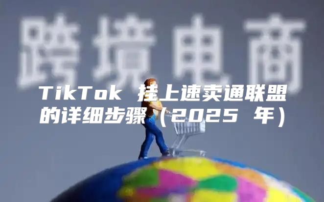 TikTok 挂上速卖通联盟的详细步骤2025 年