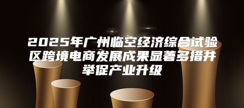 2025年广州临空经济综合试验区跨境电商发展成果显著多措并举促产业升级