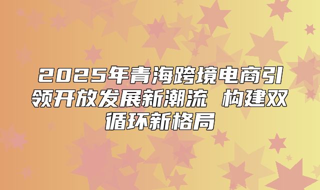 2025年青海跨境电商引领开放发展新潮流 构建双循环新格局