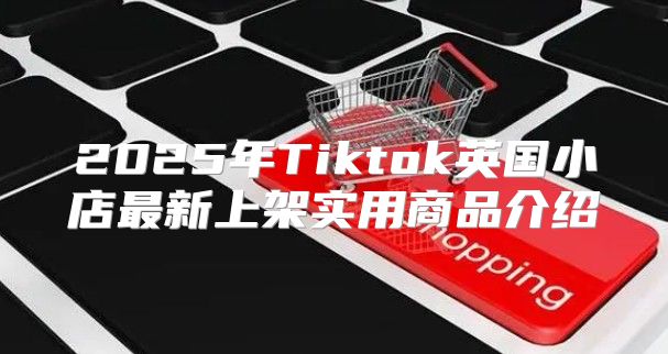 2025年Tiktok英国小店最新上架实用商品介绍