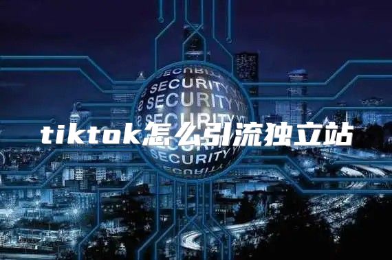 tiktok怎么引流独立站