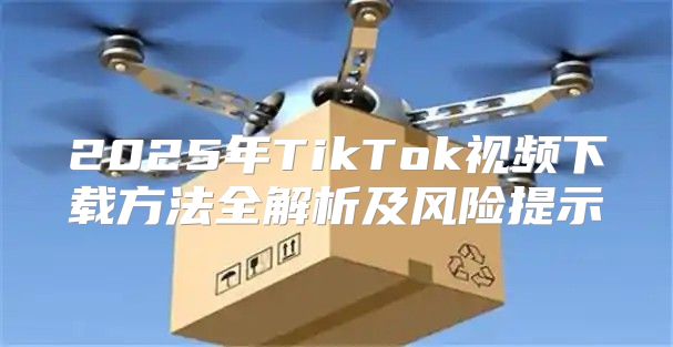 2025年TikTok视频下载方法全解析及风险提示