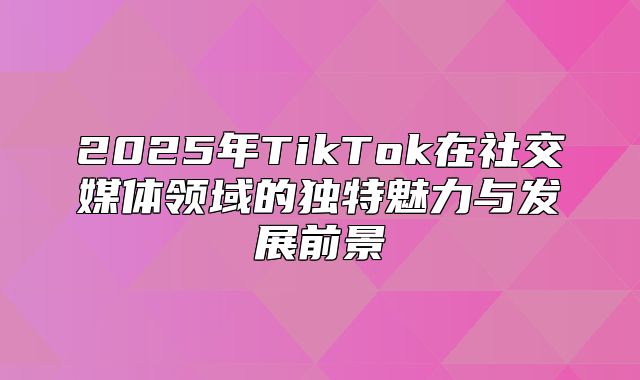2025年TikTok在社交媒体领域的独特魅力与发展前景