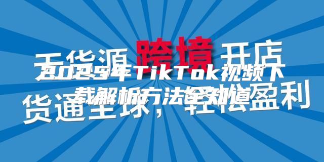 2025年TikTok视频下载解析方法全知道