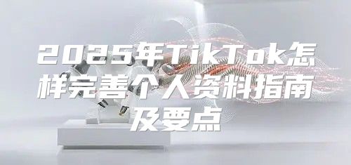 2025年TikTok怎样完善个人资料指南及要点