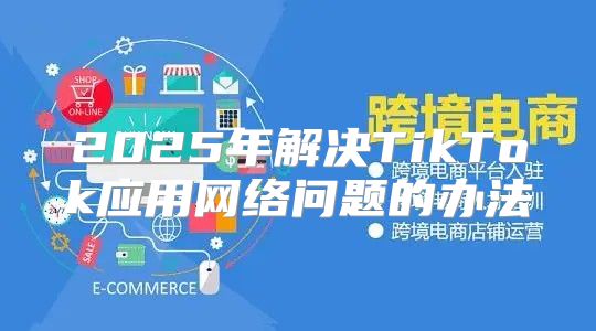 2025年解决TikTok应用网络问题的办法