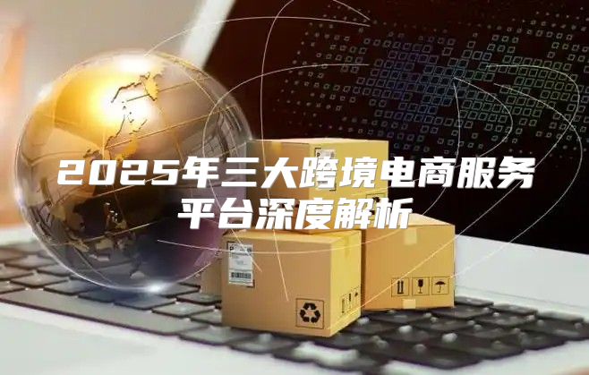 2025年三大跨境电商服务平台深度解析