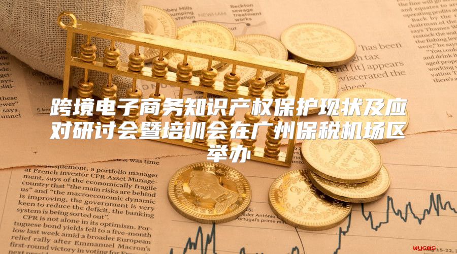 跨境电子商务知识产权保护现状及应对研讨会暨培训会在广州保税机场区举办