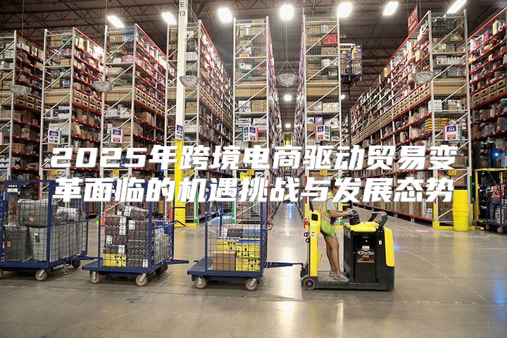2025年跨境电商驱动贸易变革面临的机遇挑战与发展态势