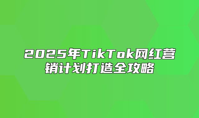 2025年TikTok网红营销计划打造全攻略