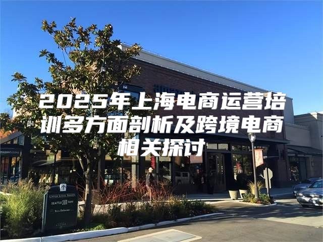 2025年上海电商运营培训多方面剖析及跨境电商相关探讨
