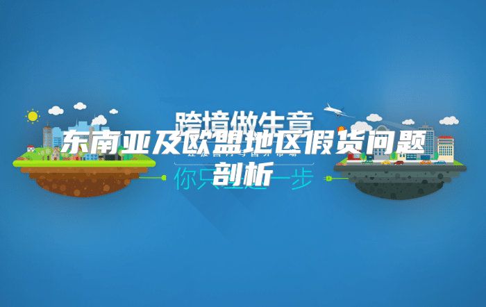 东南亚及欧盟地区假货问题剖析