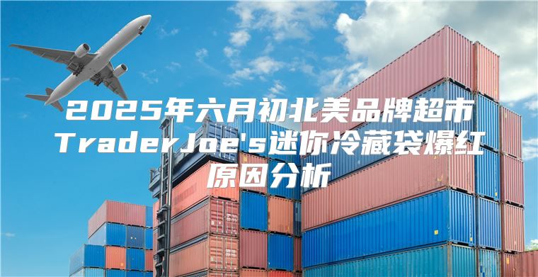 2025年六月初北美品牌超市TraderJoe's迷你冷藏袋爆红原因分析