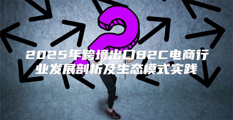 2025年跨境出口B2C电商行业发展剖析及生态模式实践