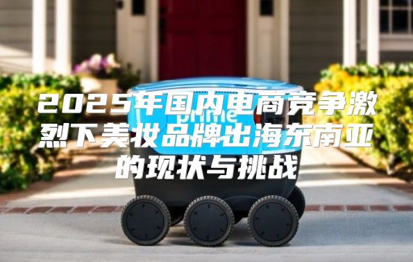 2025年国内电商竞争激烈下美妆品牌出海东南亚的现状与挑战