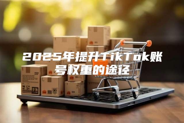 2025年提升TikTok账号权重的途径