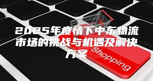 2025年疫情下中东物流市场的挑战与机遇及解决方案