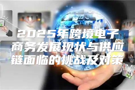 2025年跨境电子商务发展现状与供应链面临的挑战及对策