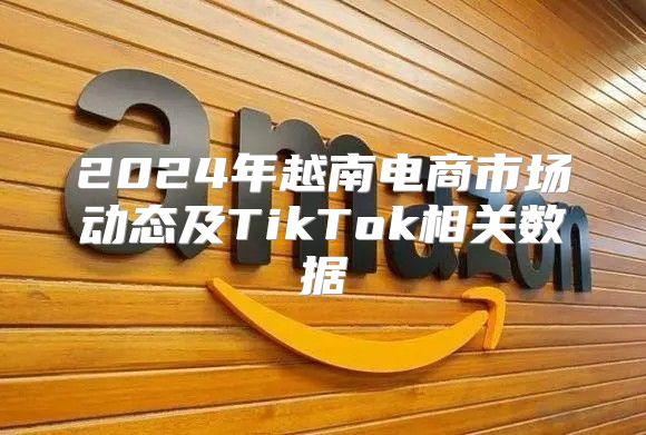 2025年越南电商市场动态及TikTok相关数据