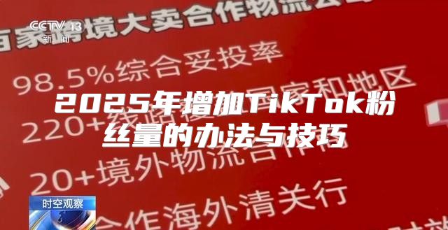 2025年增加TikTok粉丝量的办法与技巧