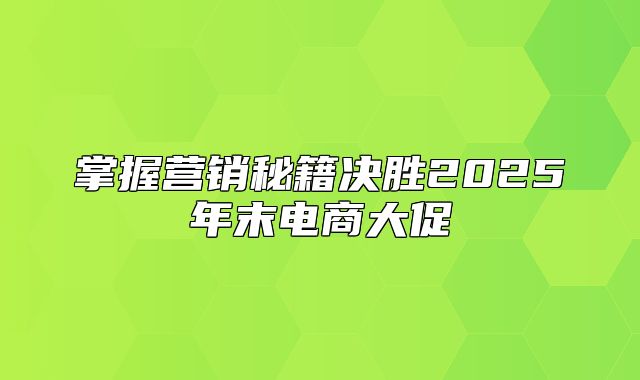 掌握营销秘籍决胜2025年末电商大促