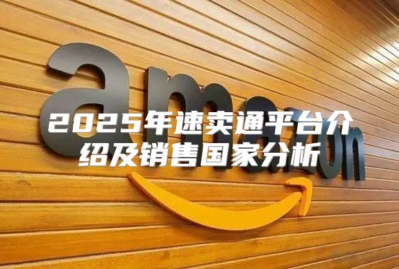 2025年速卖通平台介绍及销售国家分析