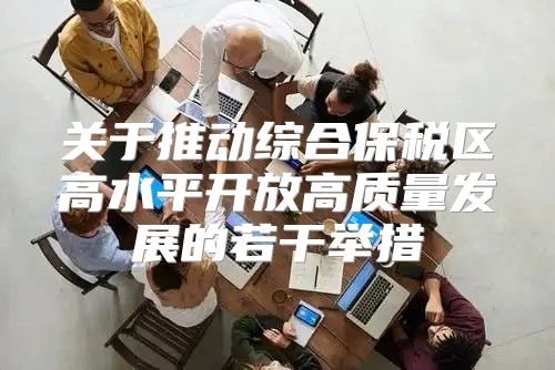 关于推动综合保税区高水平开放高质量发展的若干举措