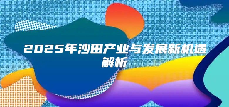 2025年沙田产业与发展新机遇解析