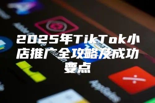 2025年TikTok小店推广全攻略及成功要点