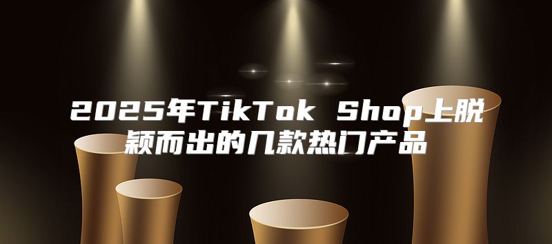 2025年TikTok Shop上脱颖而出的几款热门产品