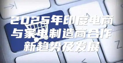 2025年印度电商与家电制造商合作新趋势及发展