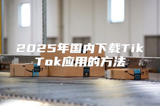2025年国内下载TikTok应用的方法