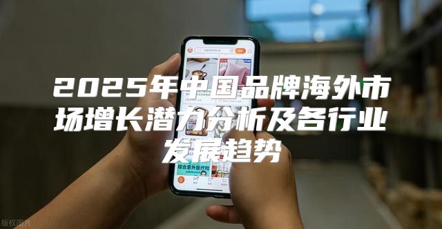 2025年中国品牌海外市场增长潜力分析及各行业发展趋势