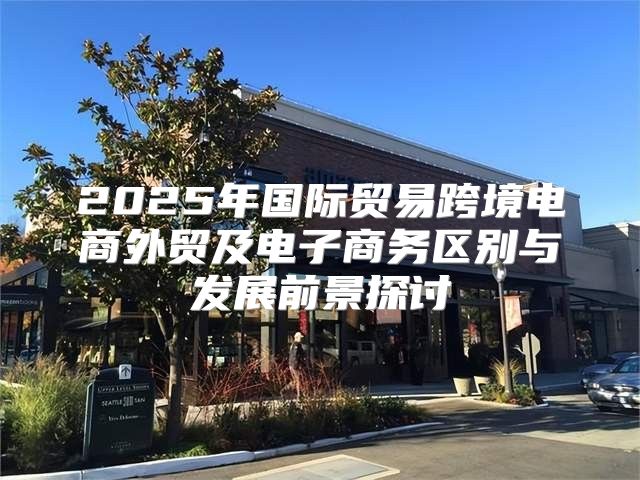2025年国际贸易跨境电商外贸及电子商务区别与发展前景探讨