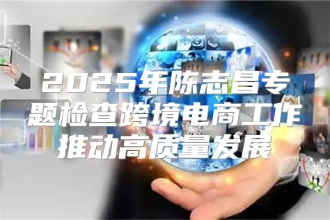 2025年陈志昌专题检查跨境电商工作推动高质量发展
