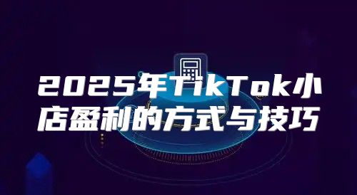 2025年TikTok小店盈利的方式与技巧